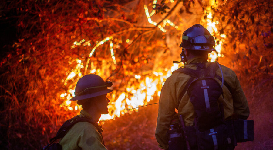 In Pacific Palisades hat das Feuer allein eine Fläche von über 9.500 Hektar verwüstet. Foto: picture alliance / REUTERS | Ringo Chiu