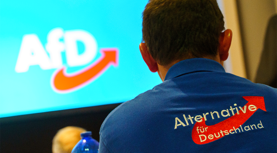 Ein Delegierter auf dem Landesparteitag der AfD-Hessen. Foto: picture alliance/dpa/Andreas Arnold 