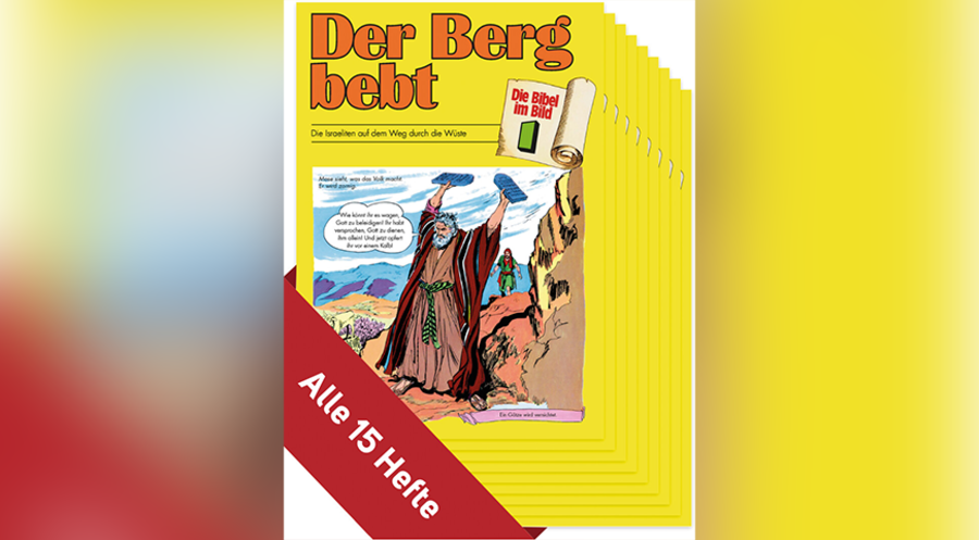 „Die Bibel im Bild“: Gebundene Ausgabe zum Jubiläum. Cover: Deutsche Bibelgesellschaft