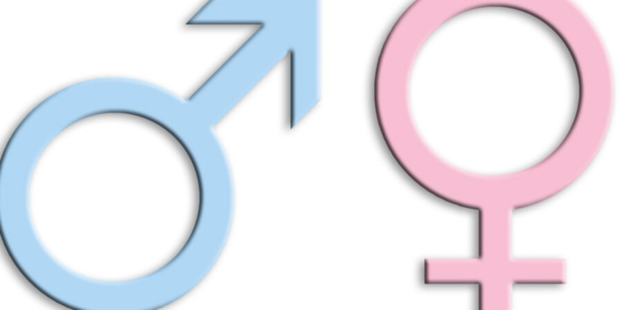 Die Theorie des Gender-Mainstreaming besagt, dass jeder Mensch unabhängig von seinem biologischen Geschlecht wählen kann, als Mann oder Frau zu leben. Foto: Thommy Weiss/Pixelio.de