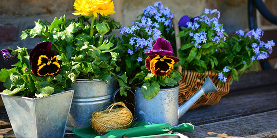 In Lünne im Emsland gibt es einen neuen Bibelgarten. Symbolbild: pixabay.com