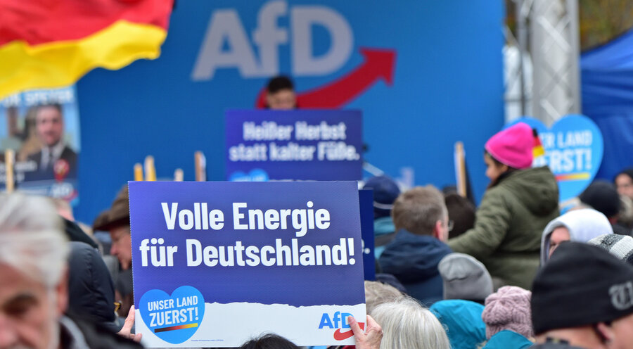 Die Kundgebung der AfD auf dem Speyerer Domplatz. Foto: Picture Alliance/Daniel Kubirski
