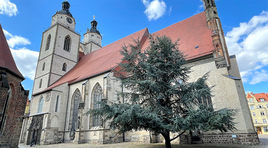 Hier predigte der Reformator Martin Luther (1483–1546). Foto: Evangelische Stadtkirchengemeinde Wittenberg