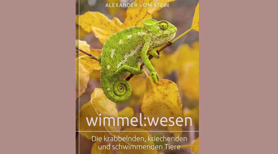 Alexander vom Stein schaut in seinem Buch genau auf die Tierwelt. Foto: Daniel Verlag
