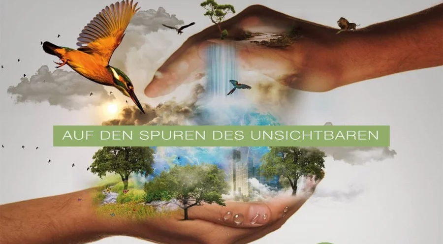 Die Ausstellung soll Besucher über die biblische Schöpfungsgeschichte informieren. Foto: Immanuelgemeinde – Frei evangelische Baptistengemeinde e.V.