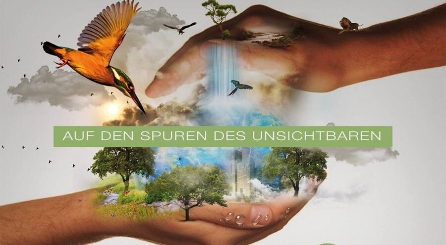 Die Ausstellung soll Besucher über die biblische Schöpfungsgeschichte informieren. Foto: Immanuelgemeinde – Frei evangelische Baptistengemeinde e.V.