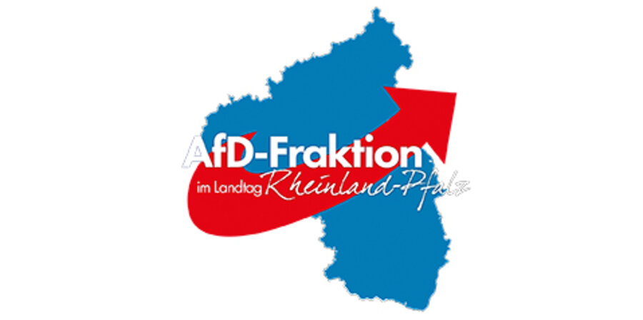 Die AfD-Fraktion im rheinland-pfälzischen Landtag hat einen Gesetzentwurf für ein Lebensschutzinformationsgesetz eingebracht. Screenshot: www.afd-rlp-fraktion.de