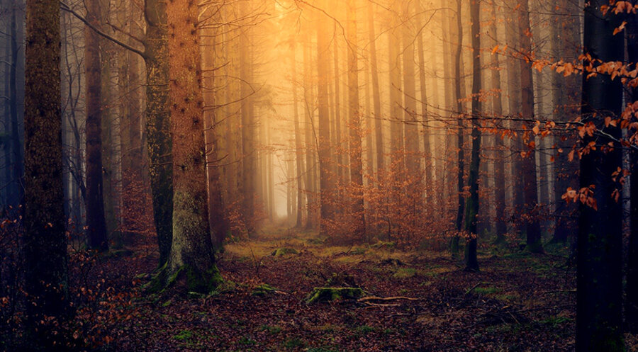 Wer die Melancholie als Wegbegleiterin neben sich entdeckt, braucht sie nicht zu verdrängen oder pauschal zu bekämpfen. Foto: pixabay.com