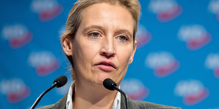 Die Vorsitzende der AfD-Bundestagsfraktion, Alice Weidel. Foto: picture-alliance/Hauke-Christian Dittrich/dpa