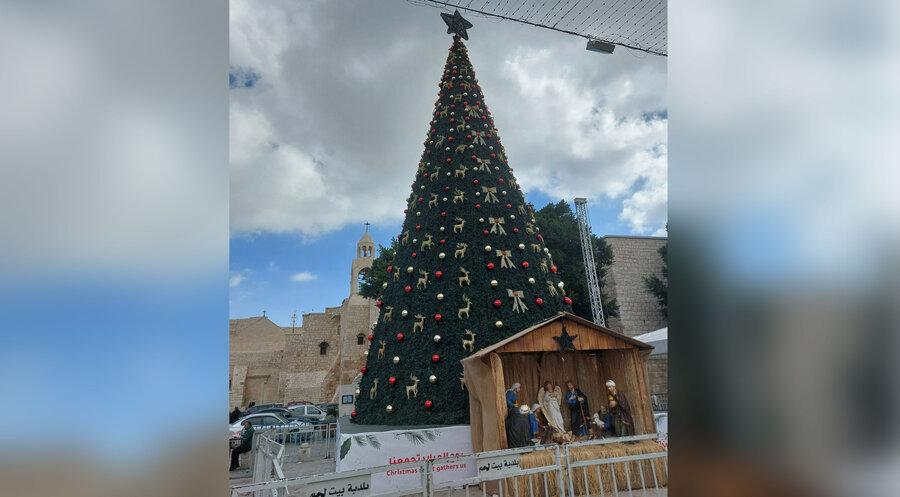Bethlehem: Der Weihnachtsbaum steht vor der Geburtskirche. Foto: IDEA/Julia Bernhard