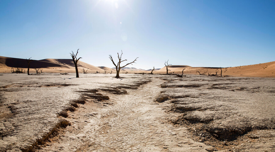 Ausgetrocknete Erde und abgestorbene Bäume in Namibia. Foto: picture alliance / imageBROKER | Christian Vorhofer