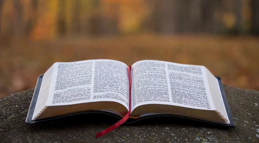 Die Bibel in gerechter Sprache ist ein umstrittenes Projekt. Symbolbild: unsplash.com