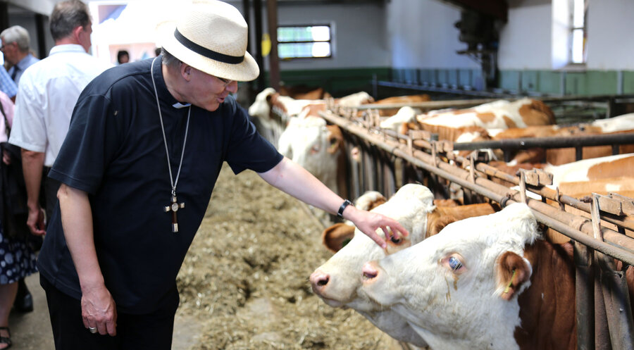 Bischof Rudolf Voderholzer nimmt auch immer wieder die Landwirtschaft in den Blick. Foto: bistum-regensburg.de