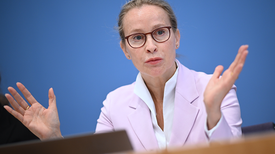 Frauke Brosius-Gersdorf ist Professorin für öffentliches Recht, mit Schwerpunkt Verfassungs- und Sozialrecht an der Universität Potsdam. 