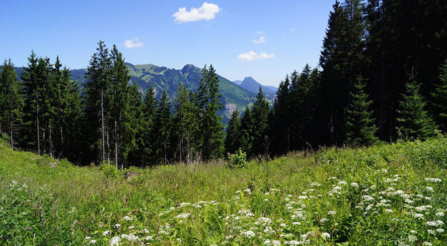 Die Landschaft im Allgäu. Symbolbild: pixabay.com