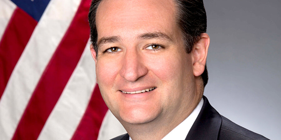 Der US-Präsidentschaftskandidat der Republikaner, Ted Cruz. Foto: PR