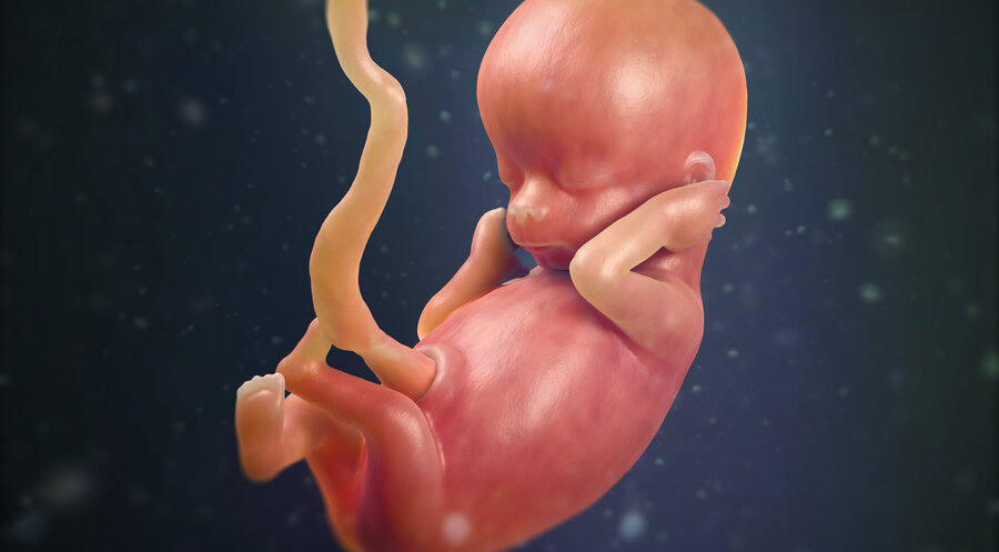 „Sundays for Life“ setzt sich gegen Abtreibung sein. Foto: Picture Alliance/Michael Hoffmann