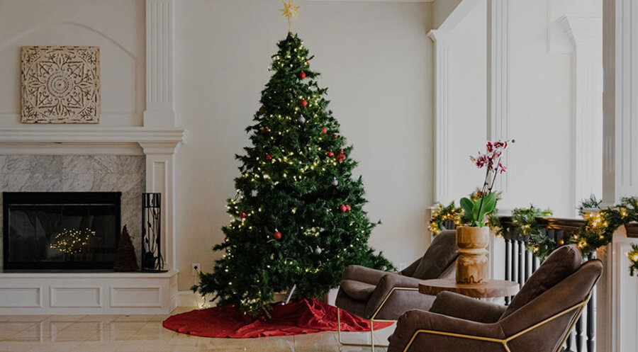 Ein Christbaum. Symbolbild: unsplash.com