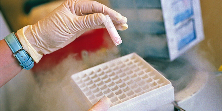Eine tiefgefrorene Probe mit embryonalen Stammzellen wird aus flüssigem Stickstoff geholt. Foto: picture-alliance/AP Photo