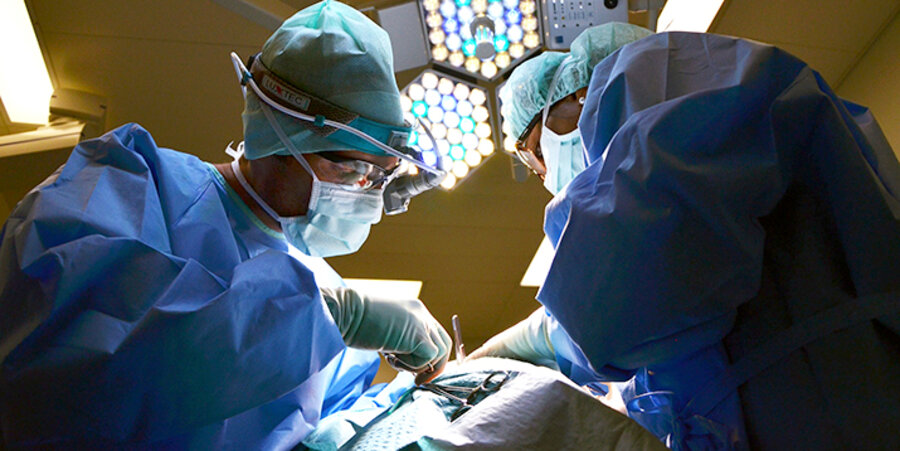 Die Transplantation wurde am 14. August erfolgreich durchgeführt. Symbolbild: pixabay.com