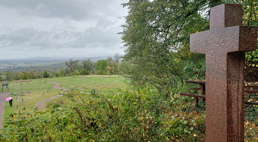 Im Friedweinberg bei Endingen kann man sich in biologisch abbaubaren Urnen unter Weinreben beisetzen. Foto: IDEA/Julia Bernhard