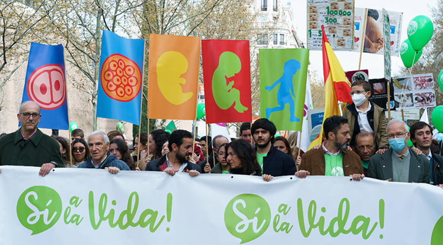 Ein Netzwerk von rund 500 spanischen Lebensrechtsorganisationen veranstaltete den Madrider „Marsch für das Leben“. Foto: IMAGO/Atilano Garcia