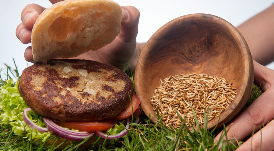 Die EU sieht Chancen für Umwelt und Ernährung, denn Insekten könnten zumindest teilweise Fleisch ersetzen. Foto: Picture Alliance/Ingo Wagner