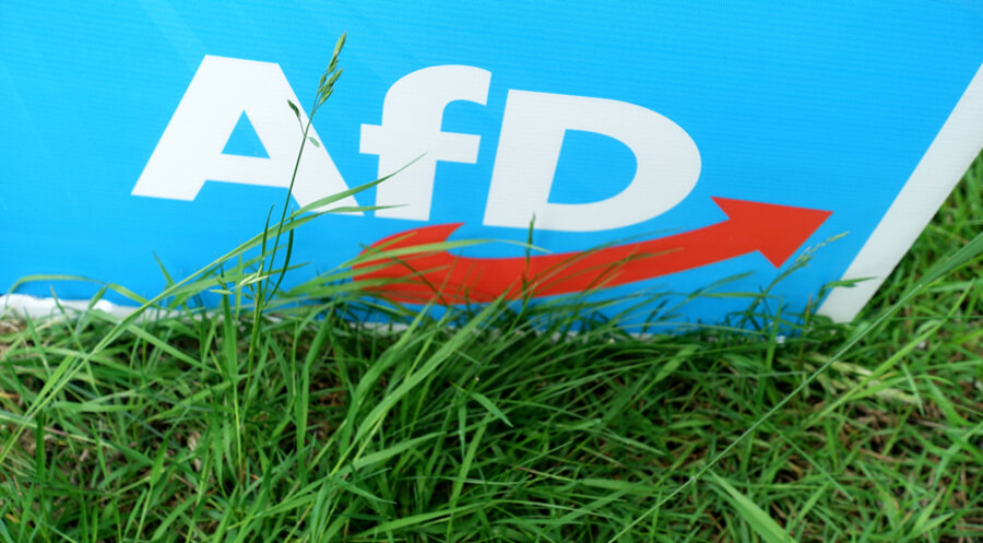 Die AfD erreichte bei der Europawahl unter jungen Menschen hohe Zustimmungswerte. Foto: IMAGO/Müller-Stauffenberg