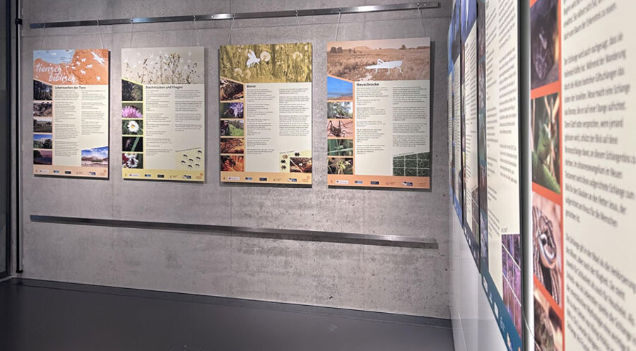 Blick in die neue Ausstellung. Foto: Bibelzentrum Bayern/Antonie Bassing