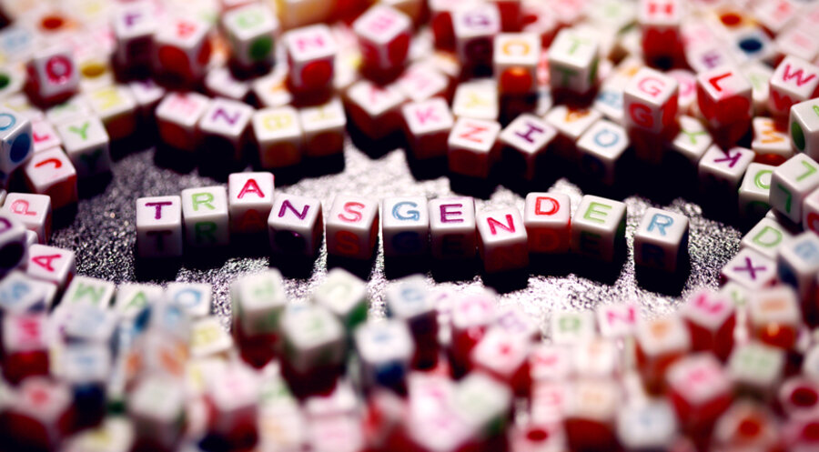 Der „Transgender-Hype“ entwickele sich zu einer massiven Bedrohung für Kinder und Jugendliche, so die Initiative. Foto: unsplash.com