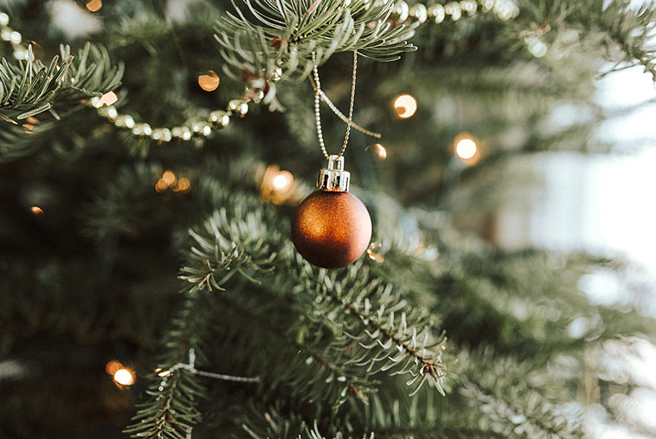 Rund 500 Weihnachtsbäume sowie Dekoration sollen an Flutopfer verteilt werden. Symbolfoto: unsplash.com