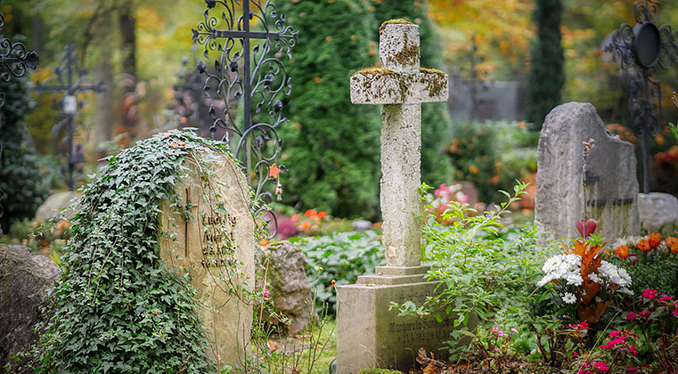 Auf dem Friedhof wurde unter anderem ein geköpfter Hahn gefunden. Symbolfoto: pixabay.com