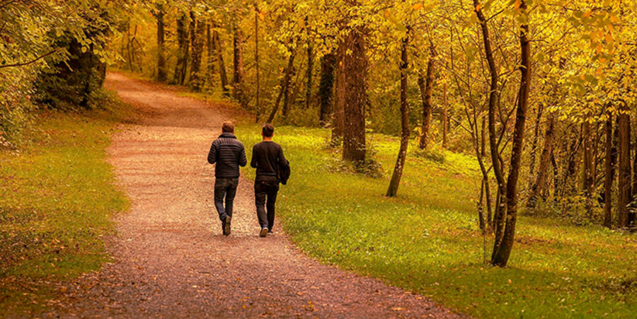 „Wie frei sind wir noch in der Seelsorge, wenn wir gefragt werden, was die Bibel zum Thema Homosexualität sagt?“, fragt Dekan Till Roth. Foto: pixabay.com 