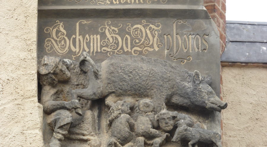 Das Relief an der Wittenberger Stadtkirche aus dem 13. Jahrhundert zeigt eine Sau, an deren Zitzen Juden saugen. Foto: Wiki Commons