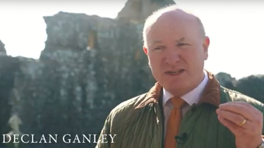 Der Geschäftsmann Declan Ganley. Screenshot: adfinternational.org