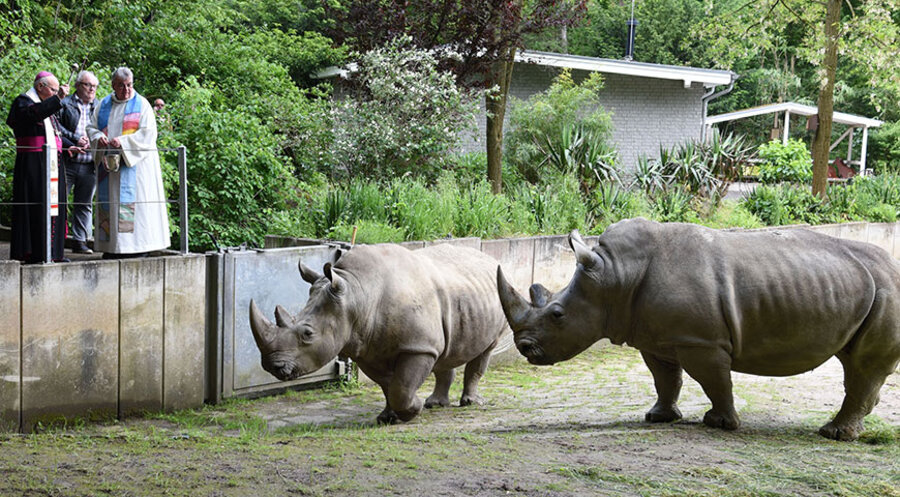 Über 400 Grundschulkinder haben an einem Aktionstag „Tiere der Bibel“ im Zoo Dortmund teilgenommen. Foto: Bonifatiuswerk