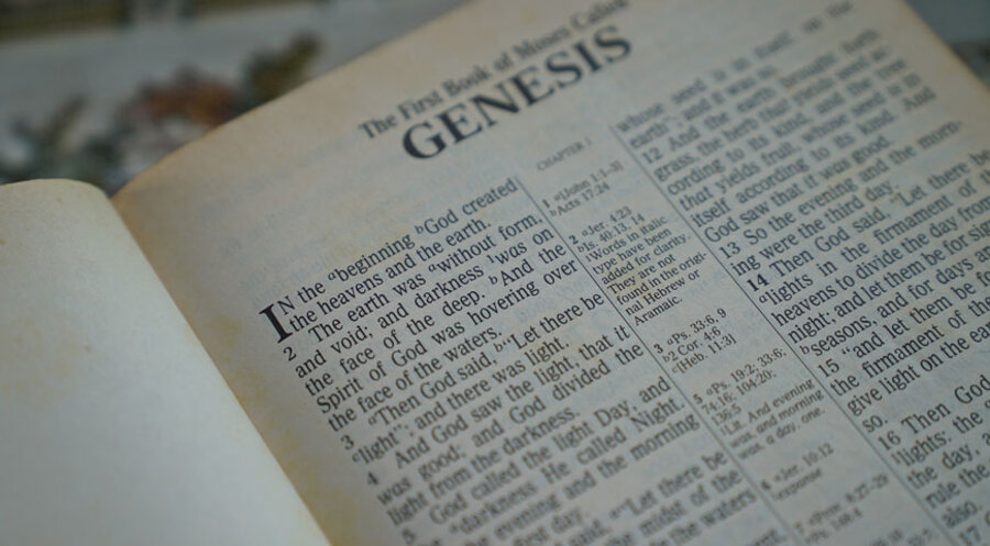 Die internationale Tierrechtsorganisation PETA hat das erste Buch der Bibel vegan umgeschrieben. Symbolfoto: pixabay.com
