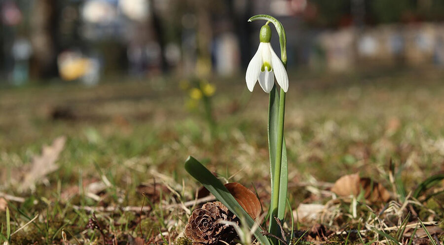 Wenn der Frühling kommt, nutzen viele Menschen die Zeit für einen Frühjahrsputz. Symbolfoto: pixabay.com
