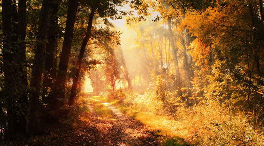 Eine Herbstlandschaft. Symbolbild: pixabay.com