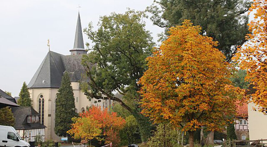 Das Kloster Altenberg in Solms. Foto: wiki commons