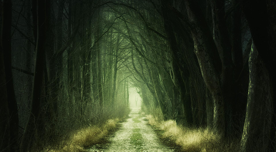 Die Psychologin Sonja Friedrich-Killinger spricht im Interview über das Thema Angst. Symbolfoto: pixabay.com