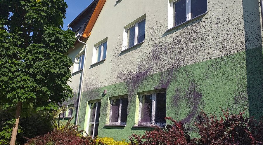 Bisher unbekannte Täter verübten einen Farbanschlag auf das „Haus für das Leben“ in Chemnitz. Foto: Albrecht Weißbach 