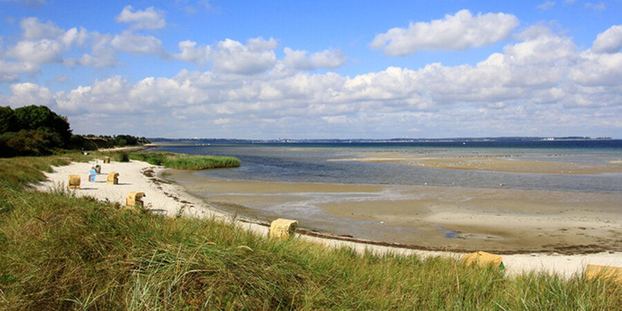 Der Ostseestrand an der Kieler Bucht. Foto: pixabay.com