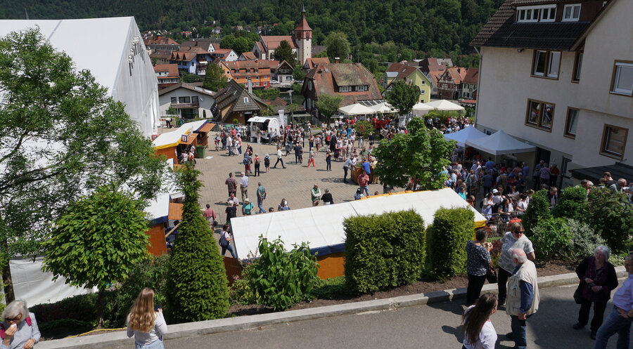 Rund 4.000 Menschen kamen zum Pfingstmissionsfest der Liebenzeller Mission. Foto: IDEA/Valentin Schmid