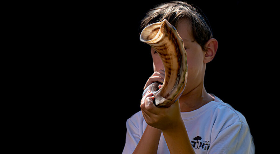 Das Blasen des Schofarhorns ist Teil der jüdischen Feiertagsriten. Foto: pixabay.com
